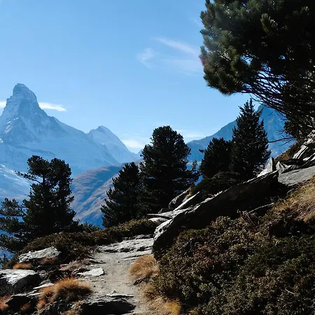 Cosy 3.5 Piece A アパート テッシュ