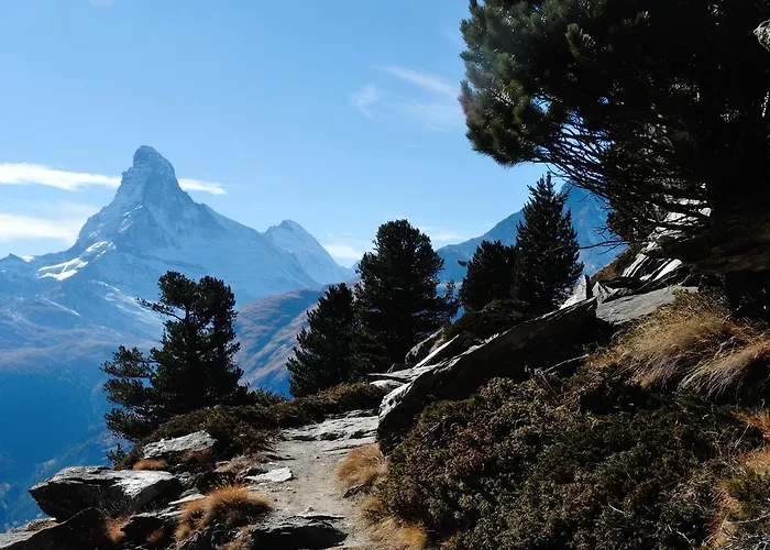 Cosy 3.5 Piece A Apartament Täsch