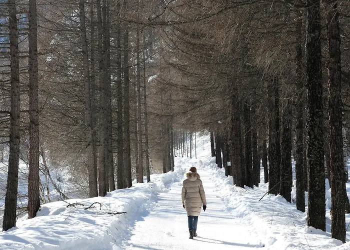 Apartament Cosy 3.5 Piece A Täsch